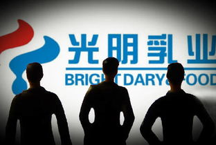 宋清輝 光明乳業企業管理與治理結構漏洞凸顯，亟待深化改革