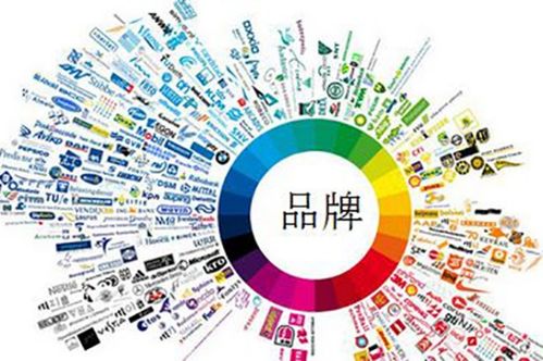 企業品牌推廣核心策略 以安徽瑤貝為例談網站推廣關鍵事宜
